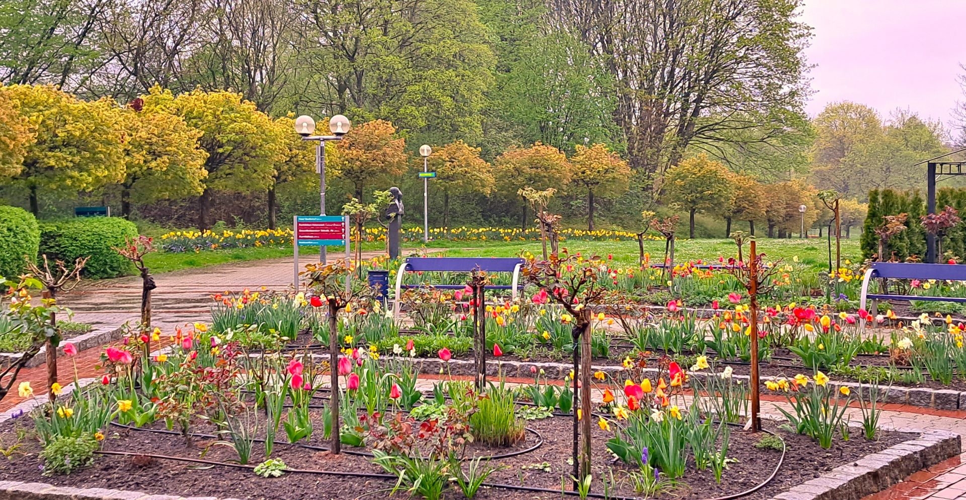 Frühling Rosengarten