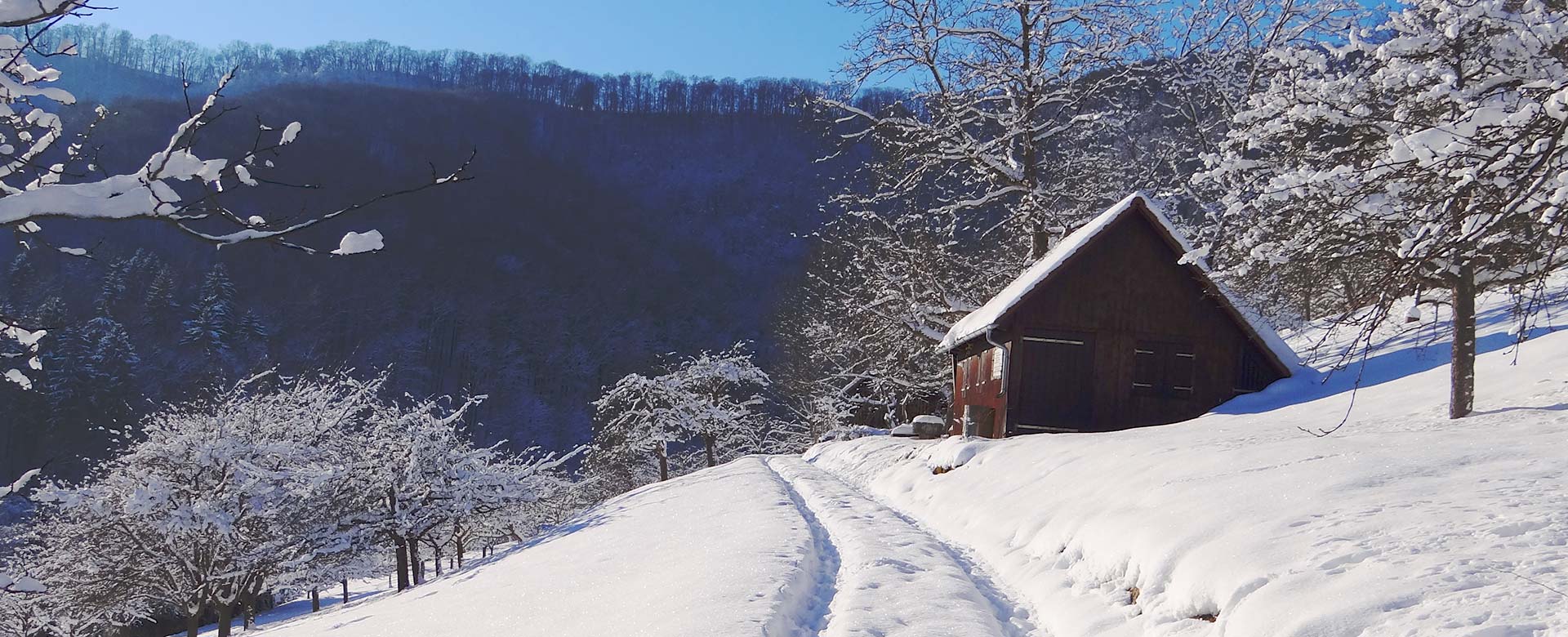 Winter Weg an Hütte